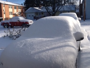 Cars covered with snow in Syracuse, N.Y.