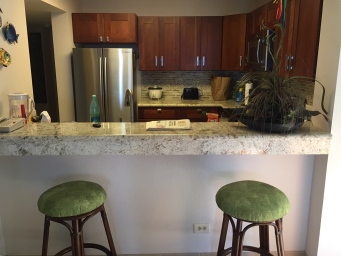 Kitchen, with counter.